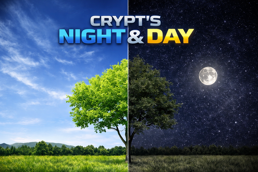 Day & Night Script